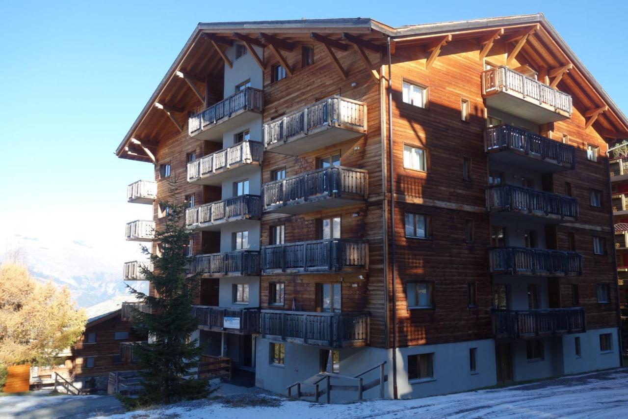 Pracondu Outdoor & Fun Appartement 1 Chambre Avec Balcon By Alpvision Residences Nendaz Luaran gambar