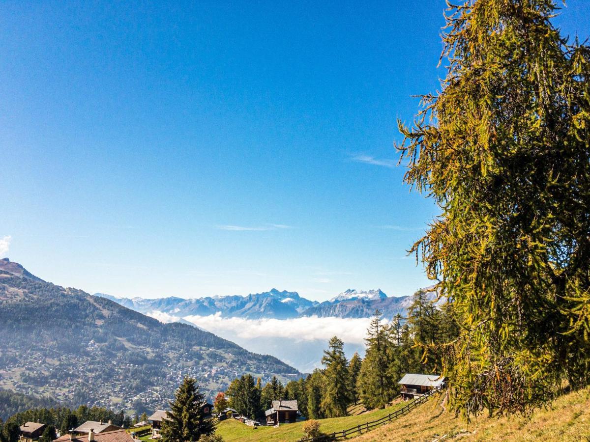 Pracondu Outdoor & Fun Appartement 1 Chambre Avec Balcon By Alpvision Residences Nendaz Luaran gambar